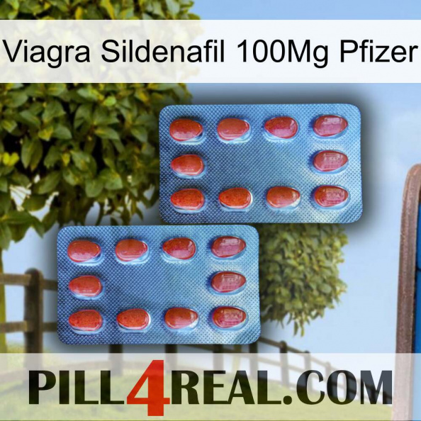 Viagra Sildenafil 100Mg Pfizer 05.jpg